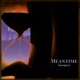 Meantime Single