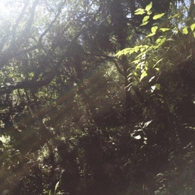 Late Summer - Single