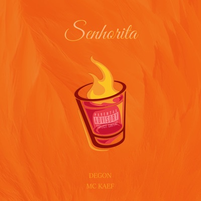 Senhorita - Single