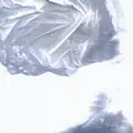 Where The Money Go