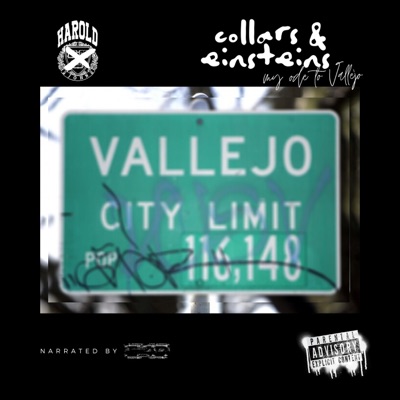 Collars & Einsteins: My Ode to Vallejo