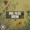 Dream
