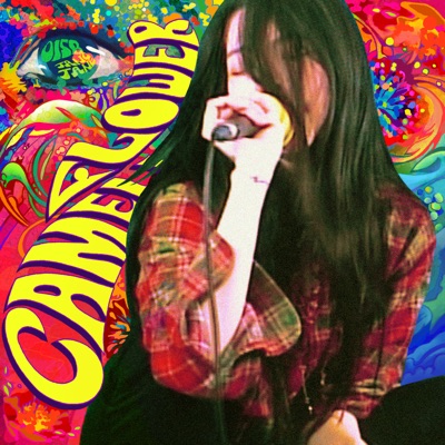 Camellia Flower - Single