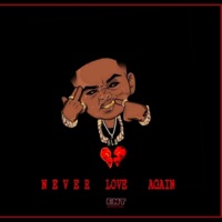 It Was Fun at My Party - Single - N.L.A Savo