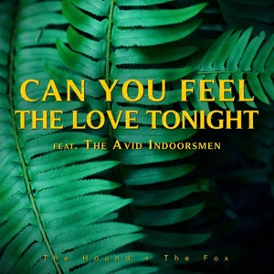 Can You Feel the Love Tonight - Single