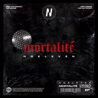 Mortalité EP - Noeleven