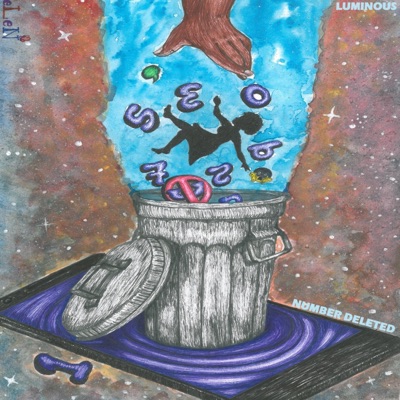 Number Deleted - Single