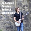 Dr. Boogie's Genuine Redneck Dream Band, 2020