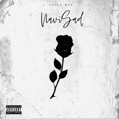 NaviSad - Single