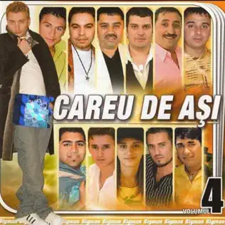 descargar álbum Various - Careu De Ași