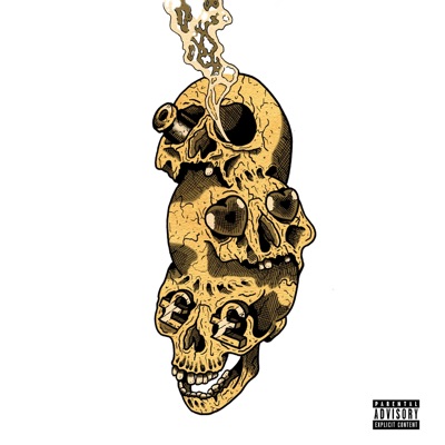 Warning Signs - Single