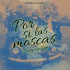 Por Si Las Moscas - Single