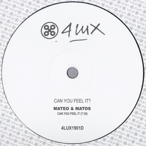 Can You Feel It - Single