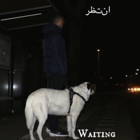 Waiting (feat. Rehan Osmani) - Single - Mixndo