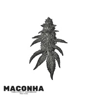 Maconha (feat. Chacheblack) - Single - Pablo Xtrm