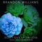 Don't Give Up On Love (feat. Eric Roberson) - Brandon Williams lyrics