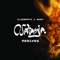 Ildebrand i byen (2000F Vocal Remix) - Natasja lyrics