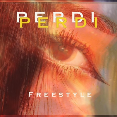 Perdí (Freestyle) - Single