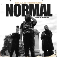 Normal (feat. Canchasy) - Single - Lex & L.A