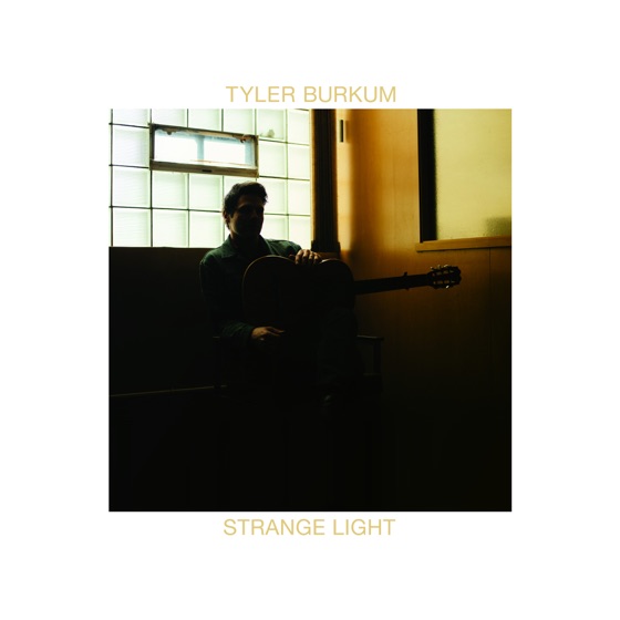 Cover artwork for Twilight of My Youth