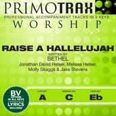 Raise a Hallelujah artwork