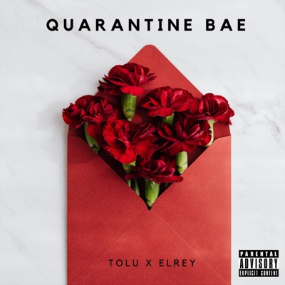 Quarantine Bae (feat. Elrey) - Single