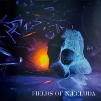 Thinking of you — Fields of Næcluda