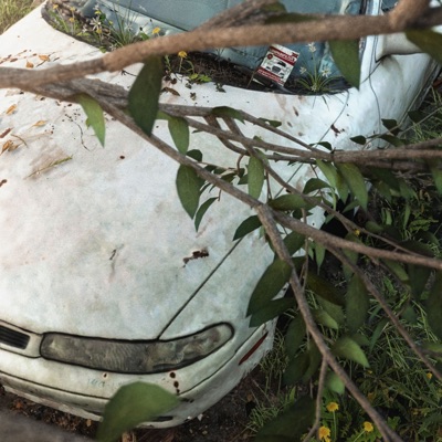 Low Pass Filter (feat. Edo Saiya, morten & Planemo) - Single