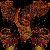 Flesh - Single - TripDaMang