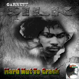 Hard Nut to Crack by Garnett Silk song reviws