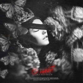 О ТЕБЕ ДЕСАКСИ, XKan & Ranzar