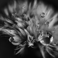 Appreciate - Single - Lavito Beats & IDS