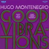 Future Of The Left A Future Left Behind (Theme from "The Big Valley") Good Vibrations