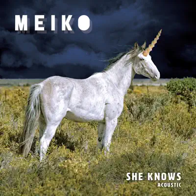 She Knows (Acoustic) - Single - Meiko
