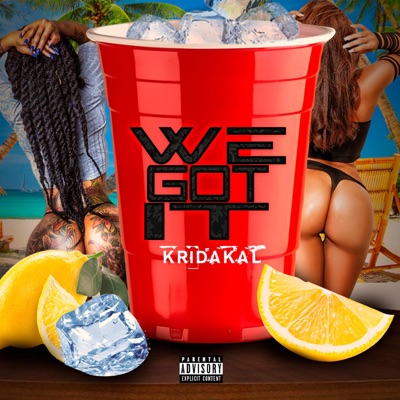 We Got It - Single