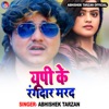 UP Ke Rangdar Marad - Single