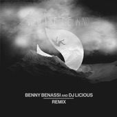 Wild Like the Wind (Benny Benassi & DJ Licious Remix) artwork