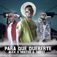 Para que quererte (feat. Alex la voz & Yaipee) - Single - Mister la torre