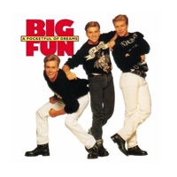 Big Fun - Can't Shake the Feeling