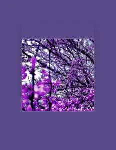 Ouve The Warm Jets, vê vídeos de música, lê a biografia, vê as datas da digressão e muito mais!