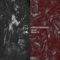 Dushi (Hioll Remix) - Verschwender lyrics