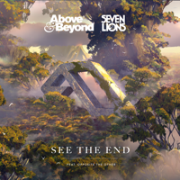 Above & Beyond, Seven Lions & Opposite the Other - See the End artwork