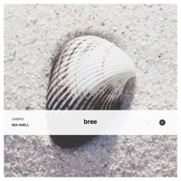 Sea Shell - Single - Umbree