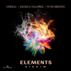 Elements Riddim - EP - XplicitMevon