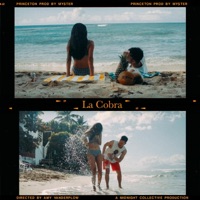 La Cobra (feat. Myster) - Single - Princeton
