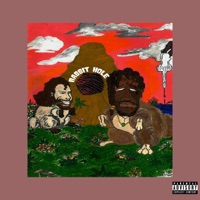 Rabbit Hole (feat. Spxtrm) - Single - D'rok the Menace