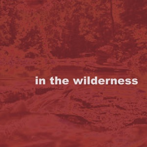 In the Wilderness (feat. Brandon Lopez)