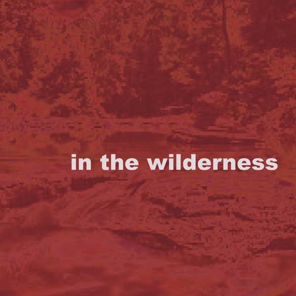 In the Wilderness (feat. Brandon Lopez)