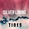 Silver Lining - Single