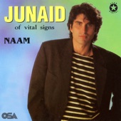 Naam (feat. Vital Signs) artwork